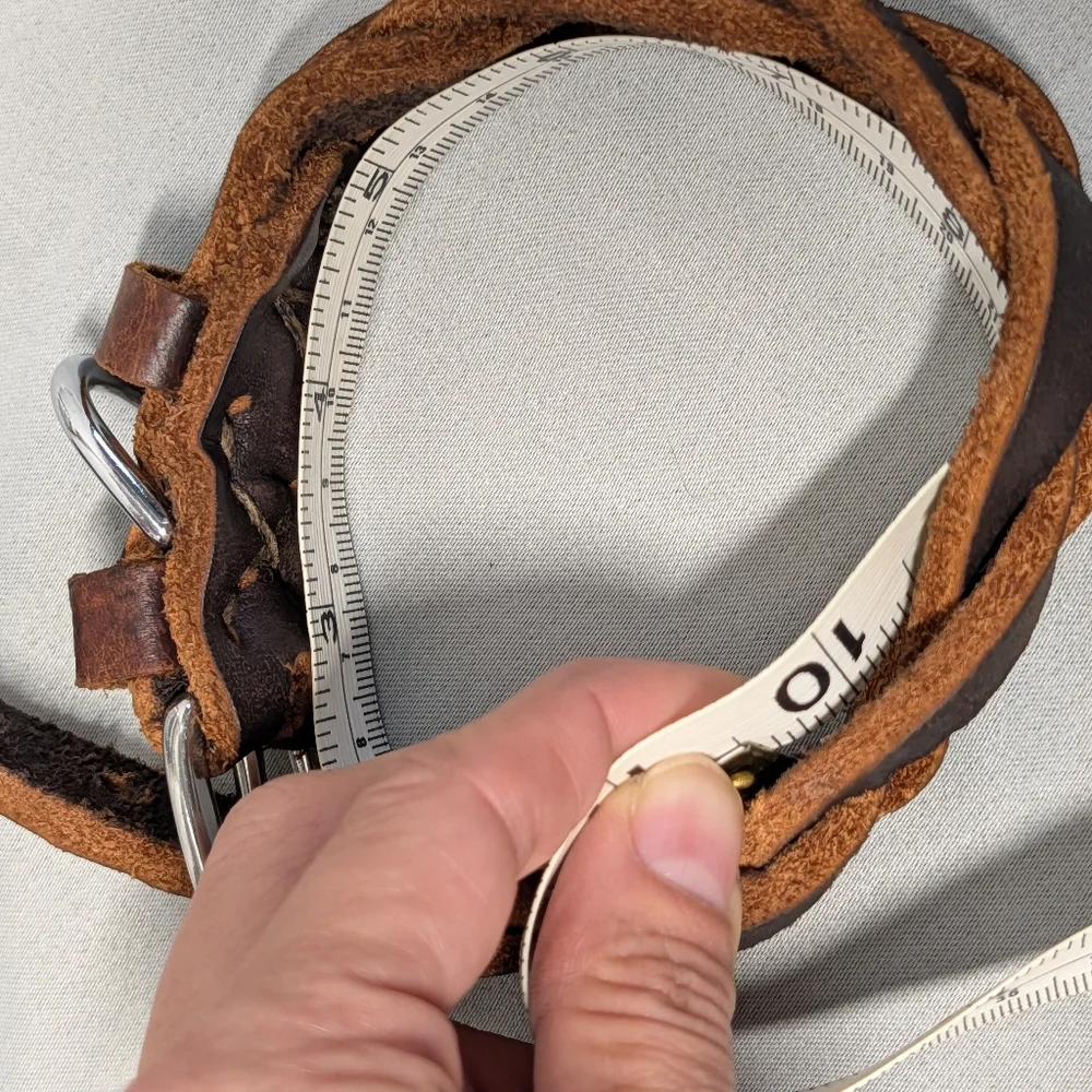 Braided Brown Leather Dog Collar with Silver Buckle (Small Dog)